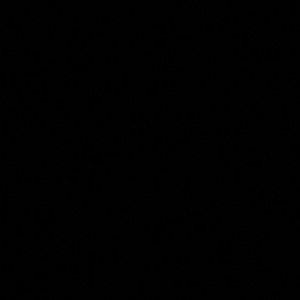 Meet your Posher, Solimar